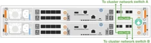 NetApp FAS50 Switched Cluster Cabling